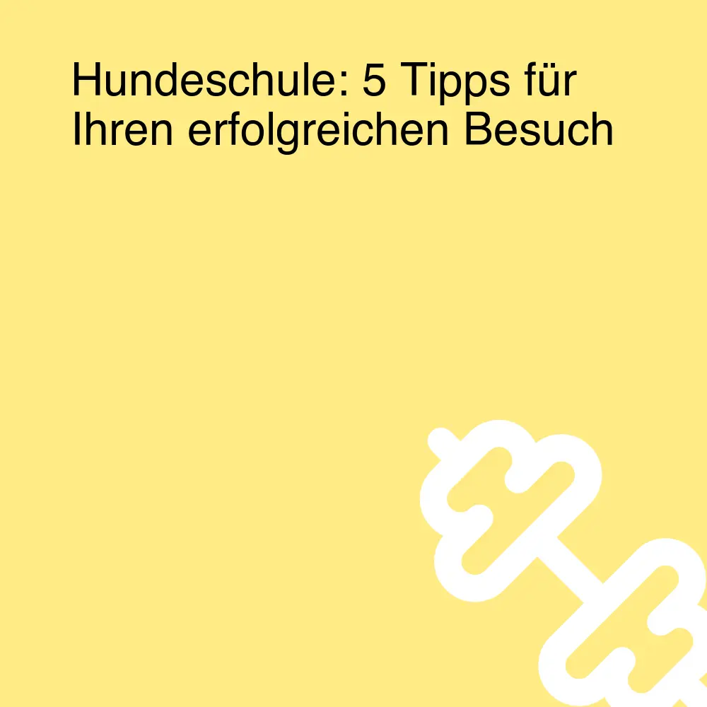 Hundeschule: 5 Tipps für Ihren erfolgreichen Besuch Hundeschule: 5 Tipps für Ihren erfolgreichen Besuch