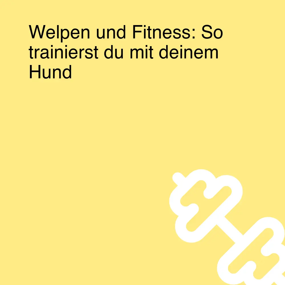 Welpen und Fitness: So trainierst du mit deinem Hund Welpen und Fitness: So trainierst du mit deinem Hund
