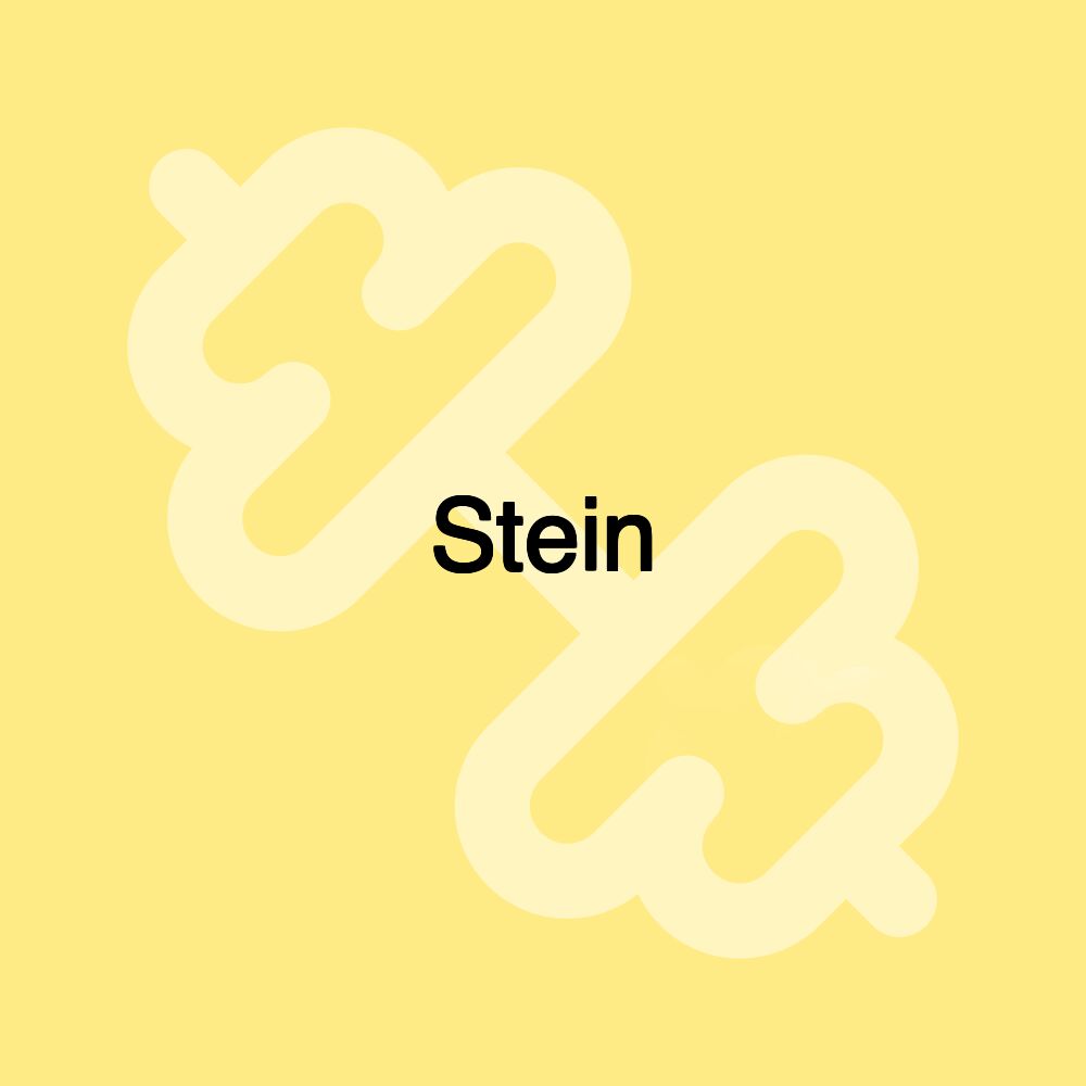 Stein Stein