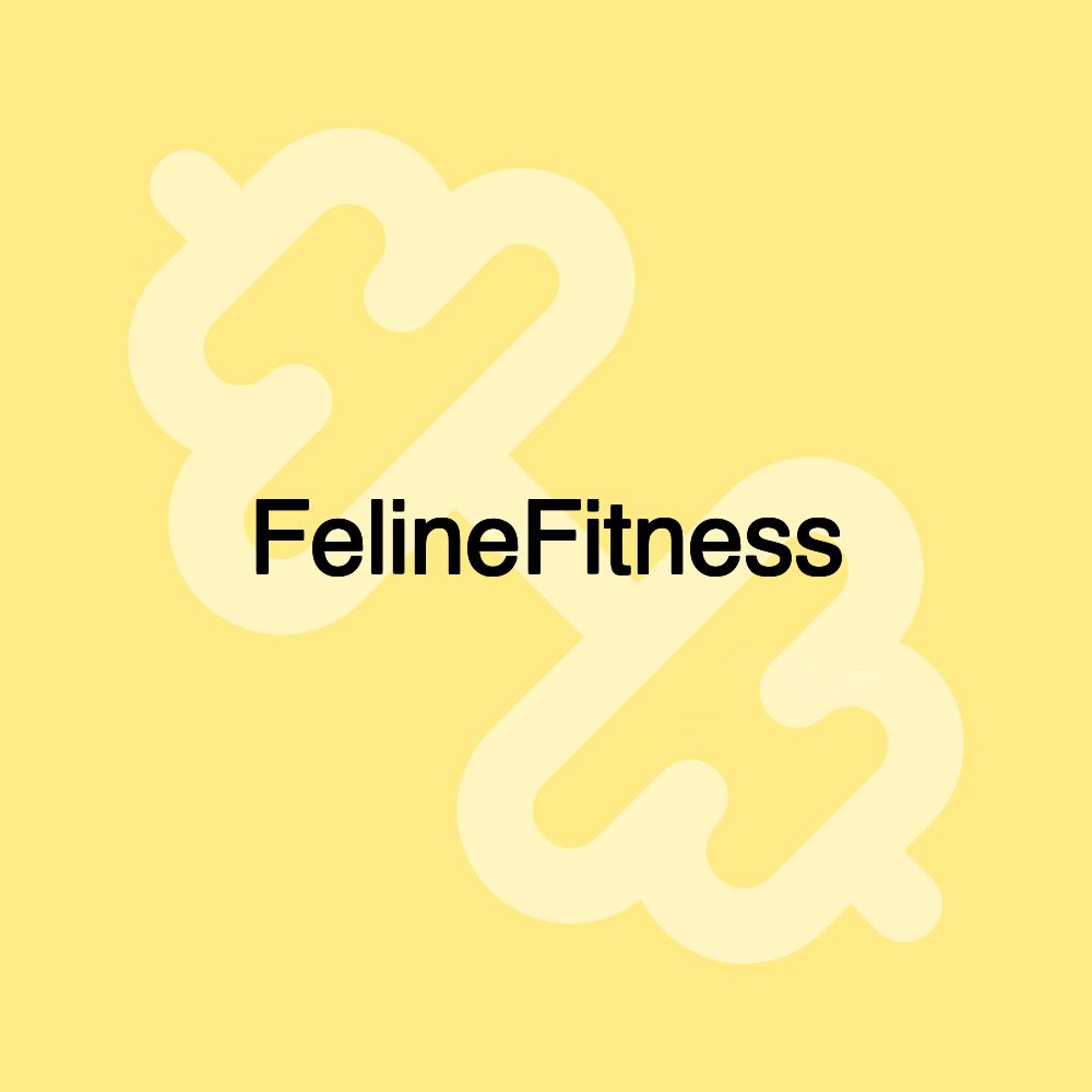 FelineFitness