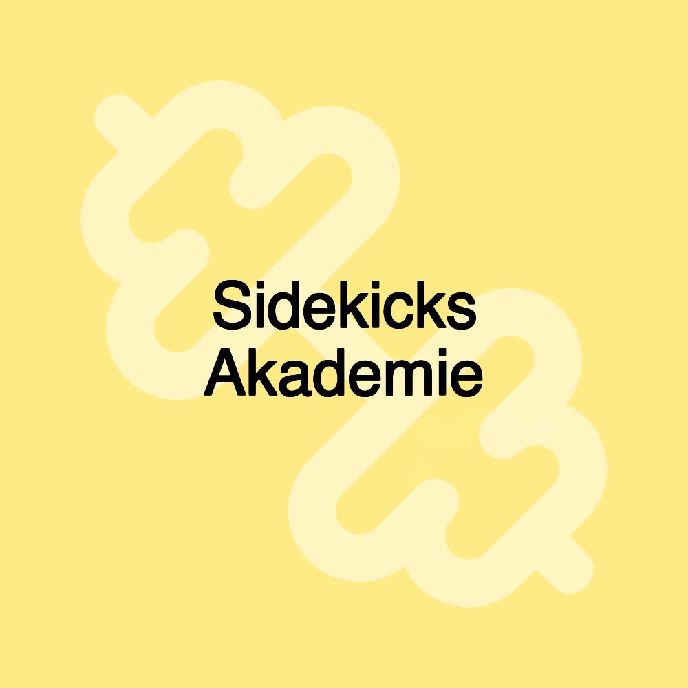 Sidekicks Akademie Sidekicks Akademie