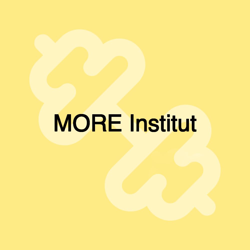MORE Institut