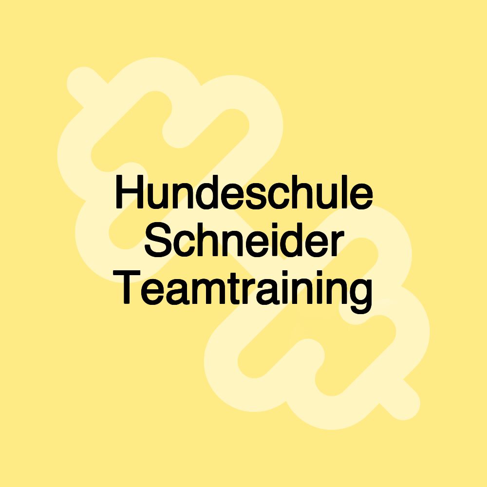 Hundeschule Schneider Teamtraining