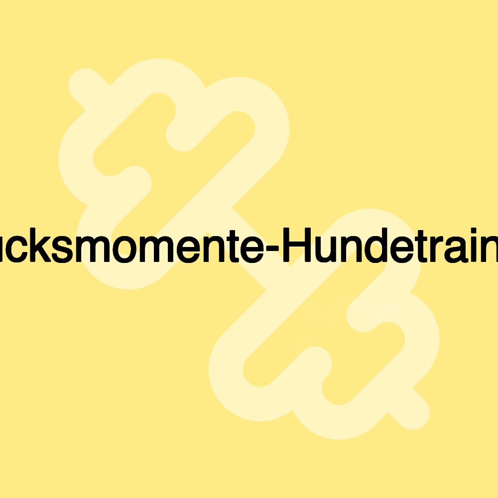 Glücksmomente-Hundetraining